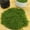 Dark Green, variant on 100g Artificial Moss Fake Greenery For Bonsai Landscaping, Decorative Silky Faux Pavement Grass For DIY Floral Arrangements And Patio Craft Projects