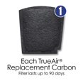thumbnail image 5 of Hamilton Beach True Air Replacement Filter, for Pet Odors 04294-1 ea, 5 of 5