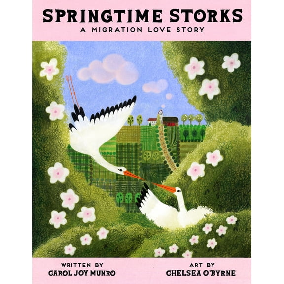 Pre-Owned Springtime Storks: A Migration Love Story (Hardcover) 166265121X 9781662651212