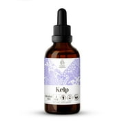 Kelp Extract, Natural Herbal Supplement for Thyroid Support, Kelp (Ascophyllum nodosum) Dried Plant Tincture, Alcohol-Free, Drops 4 oz