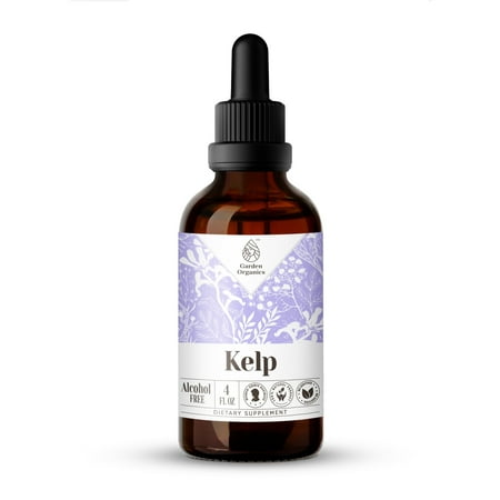 Kelp Extract, Natural Herbal Supplement for Thyroid Support, Kelp (Ascophyllum nodosum) Dried Plant Tincture, Alcohol-Free, Drops 4 oz