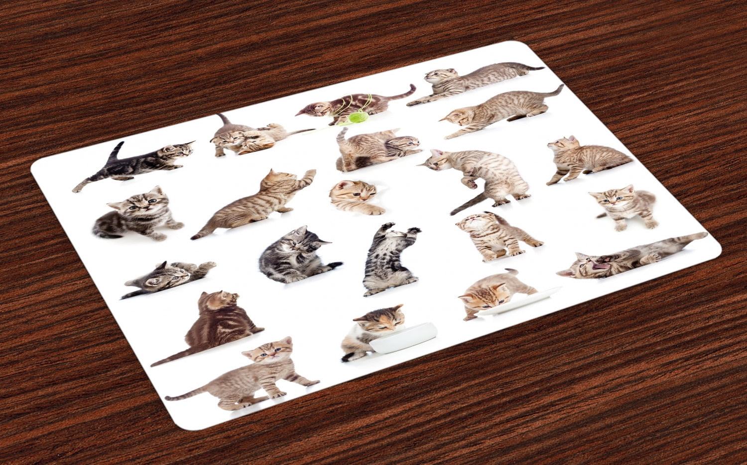 Cat Placemats Set of 4 Collection of Funny Playful Cats on White