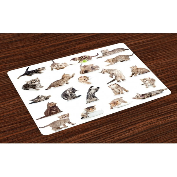 Cat Placemats Set of 4 Collection of Funny Playful Cats on White