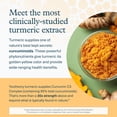 thumbnail image 5 of Youtheory Turmeric - 450 mg - With Black Pepper & Olive Leaf - Supports Joint & Brain Health* - Contains Bioenhancers, Curcuminoids & Herbal Extracts - 60 Tablets (20-Day Supply), 5 of 8