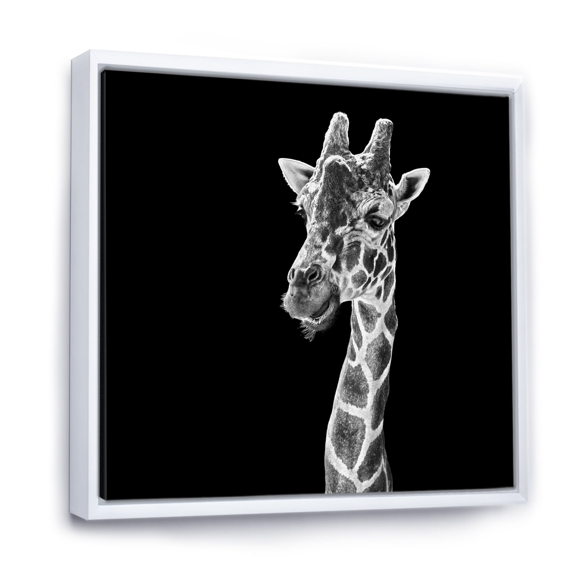 Designart 'Close Up Portrait Of A Giraffe On Black II' Farmhouse Framed Canvas Wall Art Print