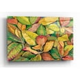 thumbnail image 1 of Epic Art 'Tropical Close Up II' by Tim O'Toole, Acrylic Glass Wall Art, 36"x24", 1 of 5