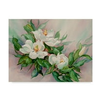 Trademark Fine Art 'Magnolia Blossoms' Canvas Art by Barbara Mock