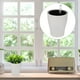 thumbnail image 4 of Maceta de interior con autorriego para plantas de flores y flores, con indicador de nivel de agua., 4 of 7
