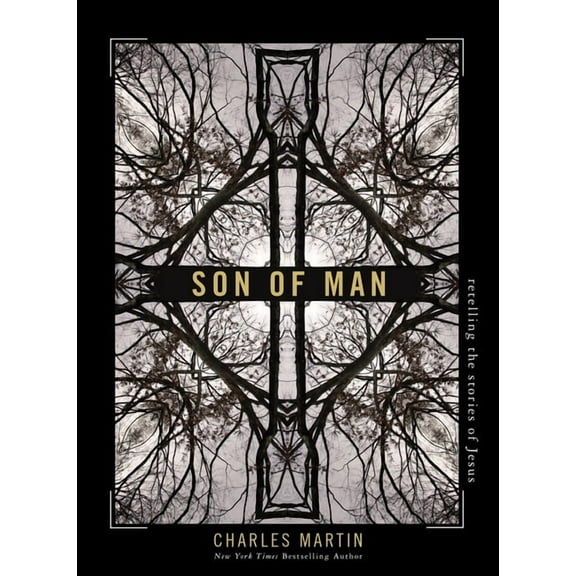 Son of Man: Retelling the Stories of Jesus, (Paperback)