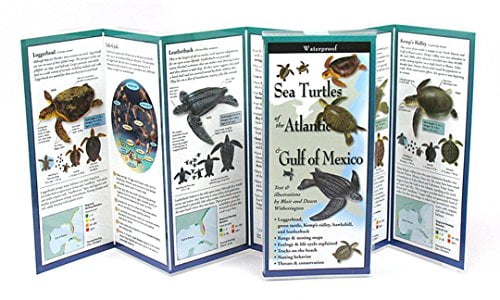 Pre-Owned Sea Turtles of the Atlantic & Gulf of Mexico (Foldingguides ...