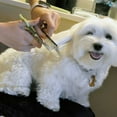 thumbnail image 3 of Safari Dog Grooming Comb, 4 1/2" for Medium to Fine Coat, 3 of 3