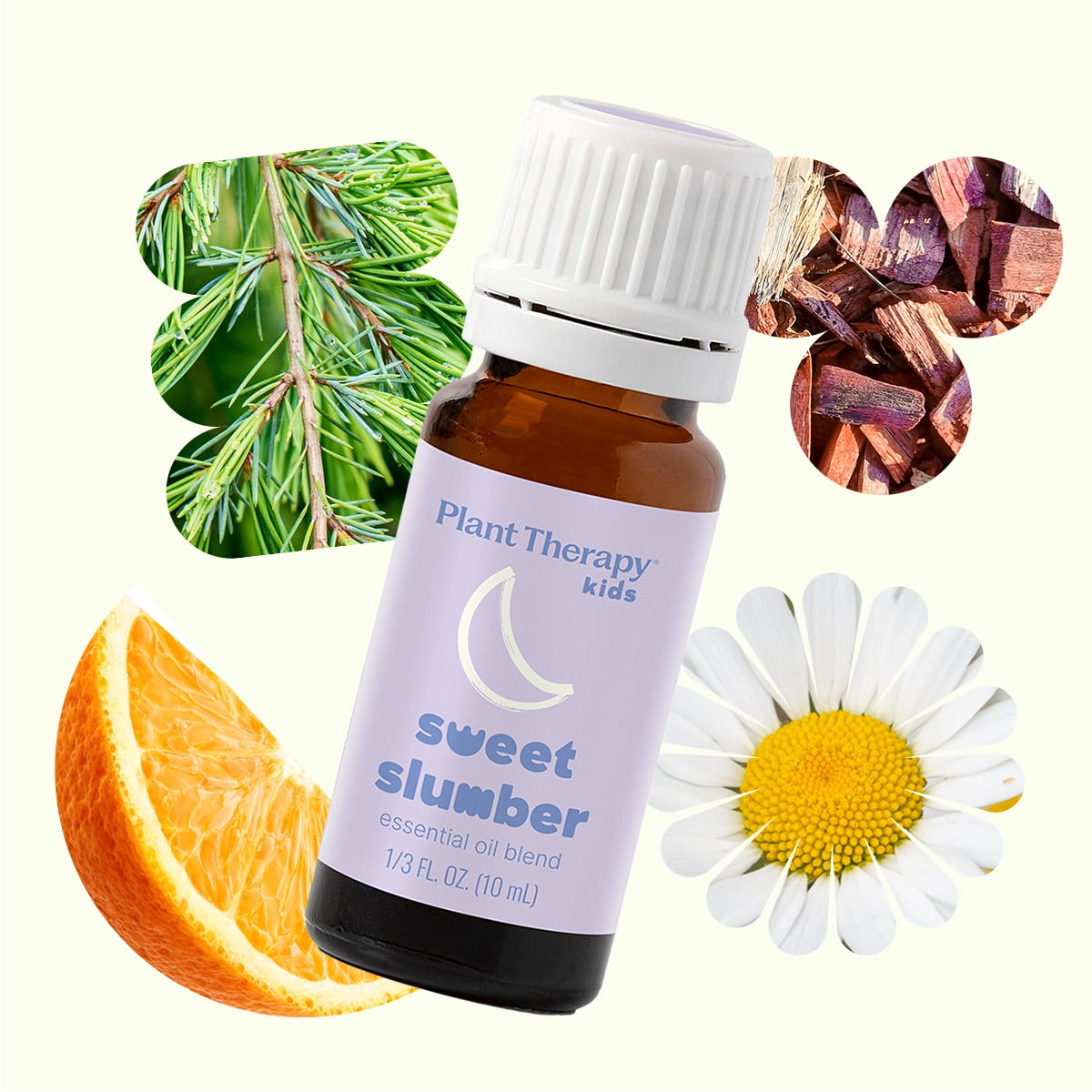 Plant Therapy Kids Sweet Slumber Essential Oil Blend 30 mL (1 oz) 100% Pure, Undiluted, Natural Aromatherapy