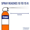 thumbnail image 5 of TERRO Outdoor Ant Killer Aerosol Spray, 19 Ounce, 5 of 7