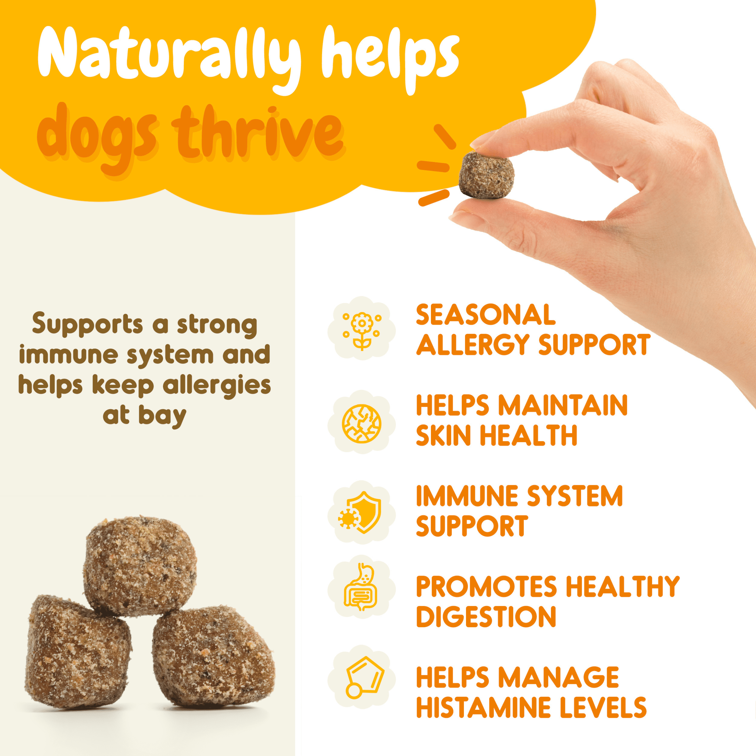 Inner Paw Dog Allergy Relief Chews, Skin Health and Immune Support, Vegetable Flavor, 120 Count