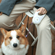 thumbnail image 2 of Automática De Correas Para Perro Retractil Con Luz Led 5m Xtellar morado, 2 of 4