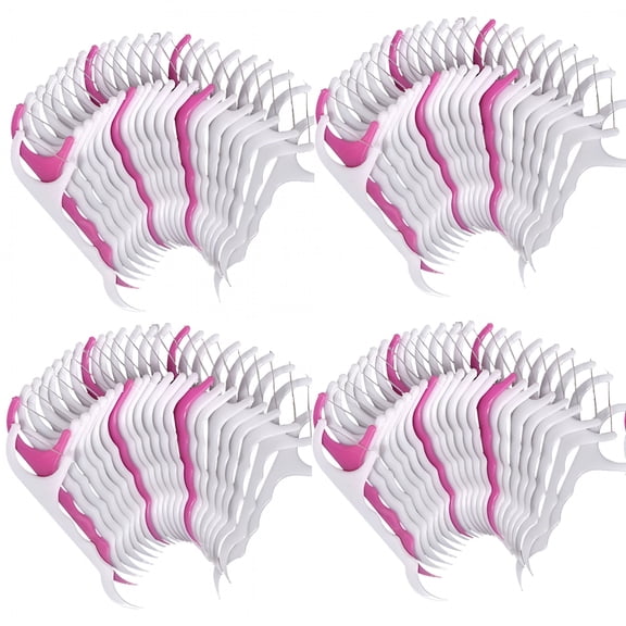 RAGUPEL 4 Packs 100Pcs Dental Floss Flosser Brush Tooth Picks Oral Care Teethpick Tool Tooth Floss
