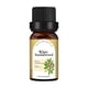 thumbnail image 1 of Clearance Aceites esenciales Elementos esenciales para el hogar Vela Unilateral de 10ML,aromaterapia de naranja dulce,aceite de árbol de té,lavanda,Material de vela artesanal,aceit(Buy 2 Get 1 Free), 1 of 2