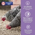 thumbnail image 4 of Eggland's Best 17% Layer Mini Pellets Chicken Feed, 10 lb, 4 of 6