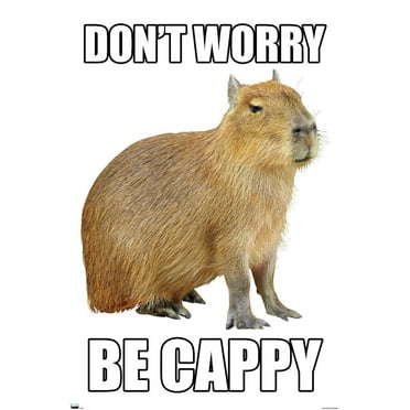 Capybara - Be Cappy Wall Poster, 22.375" x 34"