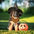 thumbnail image 5 of Fall Halloween Dog Bandanas Reversible 2 Pack Small, Black Pumpkin Ghost Spider Web Cute Halloween Pet Bandanas for Dogs Adjustable Triangle Holiday Scarves for Small Medium Boy Girl Dogs, 5 of 6