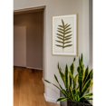 thumbnail image 5 of Marmont Hill "Fern Family VIII" Framed Painting Print, 5 of 5