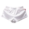 thumbnail image 2 of Lilgiuy Men Casual Solid Charming Breathable Low Waist Buttock Lift Underwear Boxers Pants Classic Multipack Panties, 2 of 3