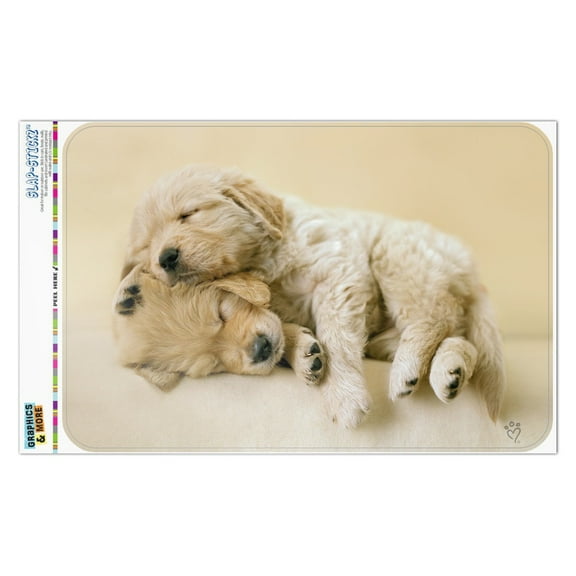 Golden Retriever Puppies Dogs Friends Sleeping Home Business Office Sign