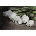 thumbnail image 2 of Deiter, Lori 14x11 Black Ornate Wood Framed with Double Matting Museum Art Print Titled - Gathered Tulips, 2 of 4
