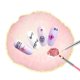 thumbnail image 1 of Resina Nail Art Palette Nail Gel Polish Palette Tray Color Nail Painting Palette Manicure Tool (Rosa). Afortunado Sencillez, 1 of 5