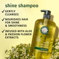thumbnail image 2 of Herbal Essences Shine Collection Shampoo, 29.2 fl oz, 2 of 10
