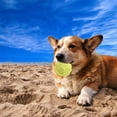 thumbnail image 5 of Raindrops  Pet Dog Chew Toy Ball Puppy Distraction for Dogs Entertainment, 5 of 8