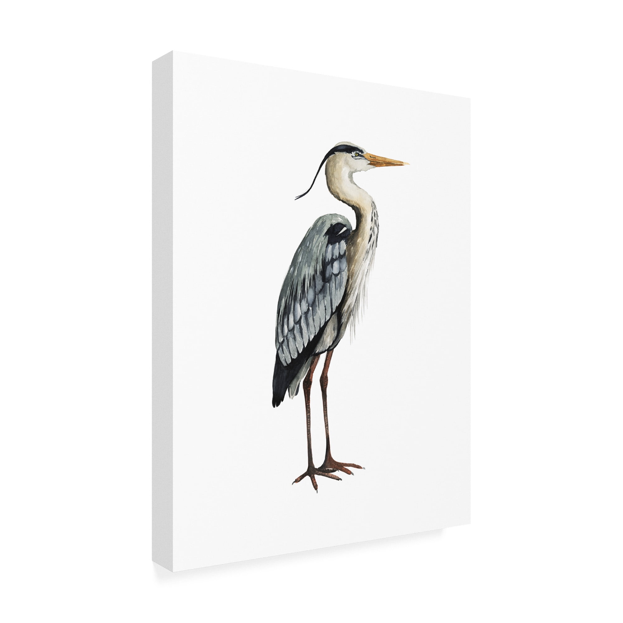 Trademark Fine Art 'Sea Bird V' Canvas Art by Grace Popp
