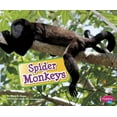 thumbnail image 1 of Pre-Owned Spider Monkeys (Unknown) 1620651041 9781620651049, 1 of 1
