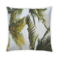thumbnail image 2 of Ahgly Company Plants Palm Tree Indoor Throw Pillow, 18 inch by 18 inch, 2 of 6