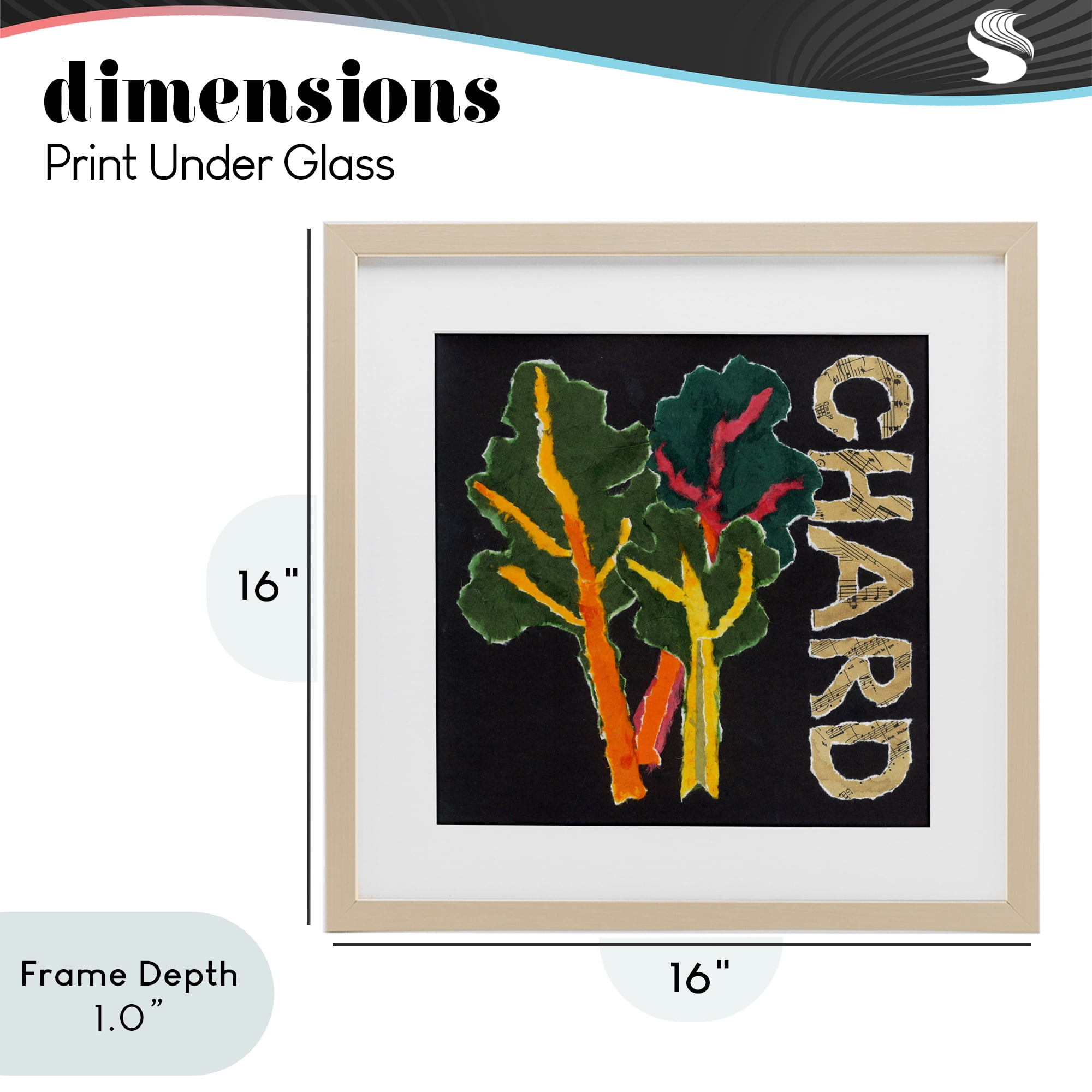 Stupell Industries Chard Leafy Vegetable Birch Framed Print Under Glass, design by Nancy Overton