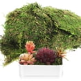 thumbnail image 1 of Mousse Artificielle Fausse Mousse Mousse Verte Fausse Mousse Mousse Décorative pour Plantes, 1 of 2