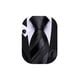 thumbnail image 1 of Set de Corbata de Seda a Rayas Barry.Wang, 150 cm de Longitud, 1 of 5