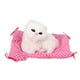 thumbnail image 5 of 1 Uds Gatito de peluche de juguete gato que suena súper lindo Mini simulación de gatitos sentados muñeco de gato regalo de Navidad ANGGREK Otros, 5 of 7