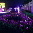 thumbnail image 6 of Vikakiooze Solar Garden Decorative Lights, Simulated Tulips Windmill Lights , Outdoor Solar Ground Lights That Can Dance With The Wind, 6 of 8