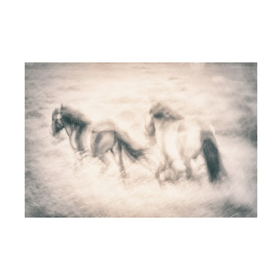 Canvas Wall Art - Nel Talen 'Running Free' Wall Art for Living Room, Bedroom, or Office Décor by Trademark Fine Art - 24 x 16 Inches