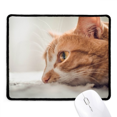 thumbnail image 1 of Animal Pure Cat Photograph Picture Mousepad Stitched Edge Mat Rubber Gang Pad, 1 of 2