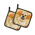 thumbnail image 1 of Carolines Treasures BB9925PTHD Golden Retriever Paire de Porte-Pot d'Automne, 1 of 1