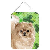 Pomeranian St. Patricks Wall or Door Hanging Prints