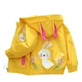 thumbnail image 3 of GYRATEDREAM Kids Baby Toddler Girls Cartoon Spring Fall Hooded Windproof Outerwear Windbreaker Zipper Hooded Jackets Coat, 3 of 4