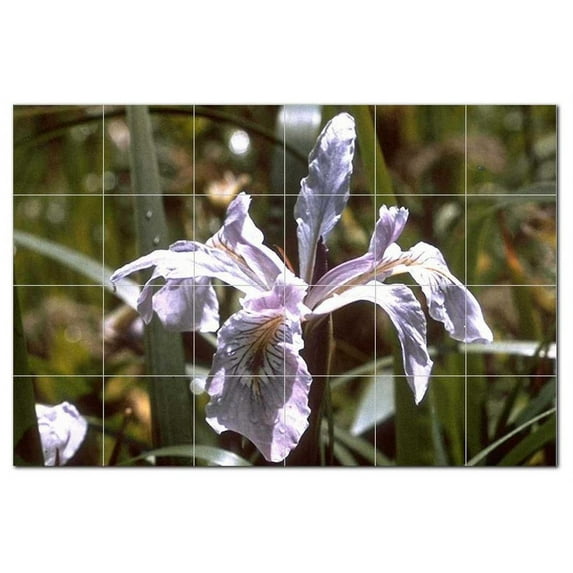 Flowers Npsh Ceramic Tile Mural Kitchen Backsplash Bathroom Shower, 405039-L64