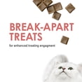 thumbnail image 6 of Purina Fancy Feast Limited Ingredient Cat Treats, Savory Cravings Salmon Tender Snacks, 3 oz Boxes (10 Pack), 6 of 14