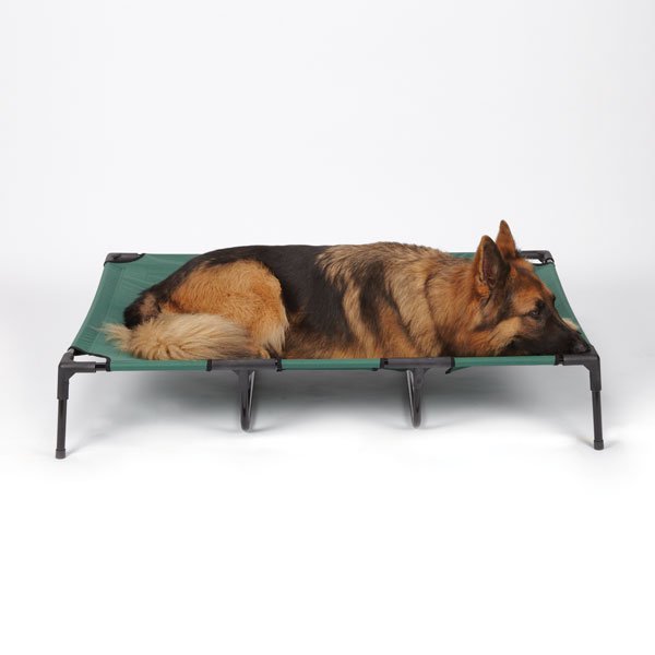 Raised Elevated Dog Bed Dark Green Tough Canvas Comfortable Pet Cot