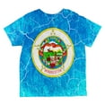 thumbnail image 2 of Minnesota Vintage Distressed State Flag All Over Toddler T Shirt Multi 2T, 2 of 2