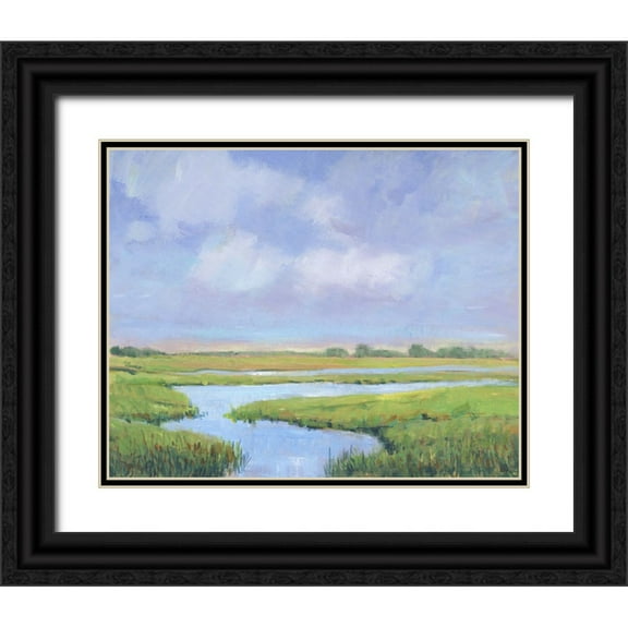 OToole, Tim 14x12 Black Ornate Wood Framed with Double Matting Museum Art Print Titled - Summer Marsh II