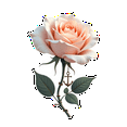 thumbnail image 6 of Steampunk Rose Stickers, Waterproof Steampunk Sticker for Water Bottle Laptop Phone Cases Planner Skateboard Luggage Helmet Party Favor Decor, Ideal for Adults Teens Teacher Rewards, 6 of 9